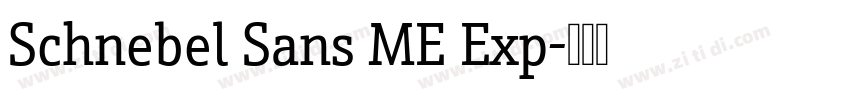 Schnebel Sans ME Exp字体转换